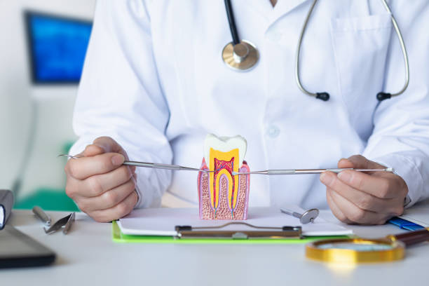 Best Urgent Dental Care for Toothache in Brownstown, IN